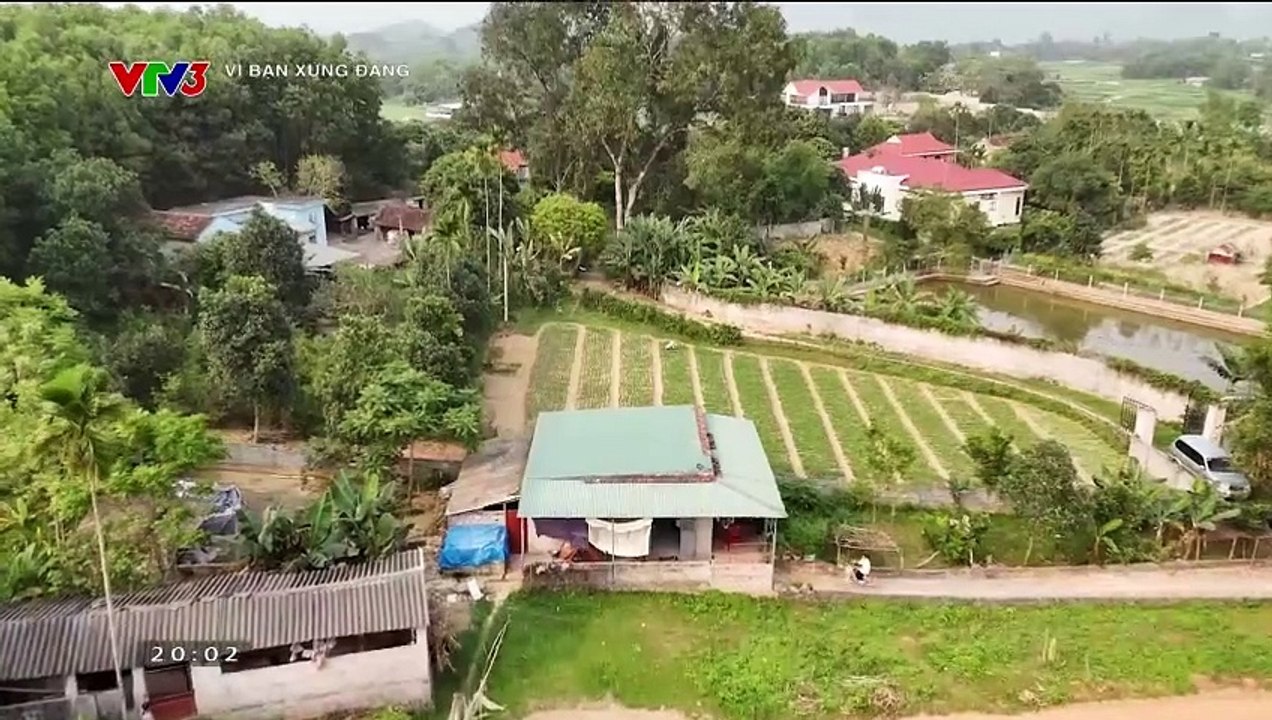 VTV3 - Vì bạn xứng đáng (2024) - Tập 20: MC, Diễn viên Hà Đan (14/07/2024) [FULL]