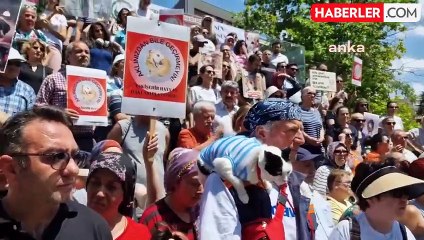 Sahipsiz Sokak Hayvanlarına Yönelik Ötenazi İçeren Kanun Teklifine Tepki