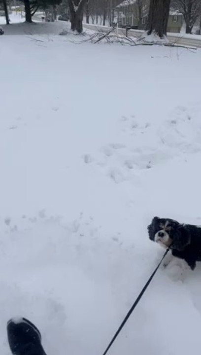 Weather lover