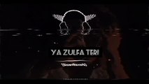 Ya zulfa Teri ya batay Teri slowed and Reverb song remix