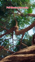 Animation Cartoon movie Best Clips