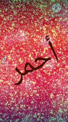 2024-07-08-175252742