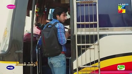 Zard Patton Ka Bunn - Episode 10 - 14 July 24