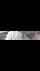 1 Celebrating 1 Million Followers 🎉