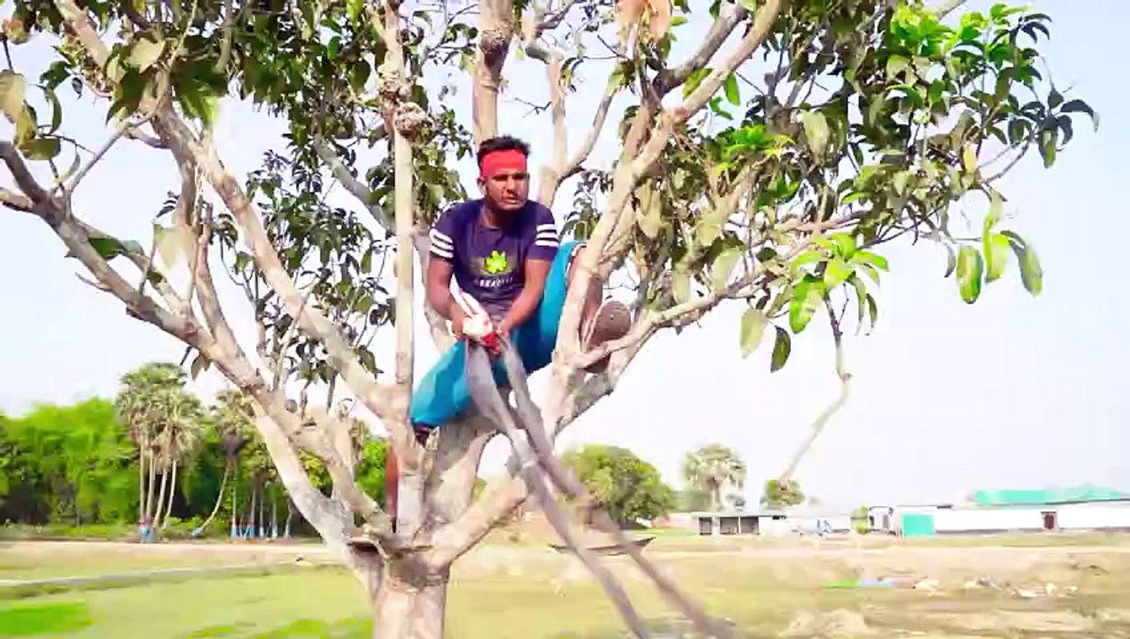 Novo vídeo de comédia de tendência exclusivo, vídeo engraçado incrível, episódio 2024 23, por Pagla_Co