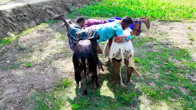 Vídeo especial exclusivo de tendências engraçadas de comédia 2024, episódio 20, de Pagla comédia New C