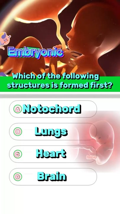 Pregnancy