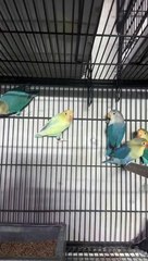 VID-20240709-WA0048