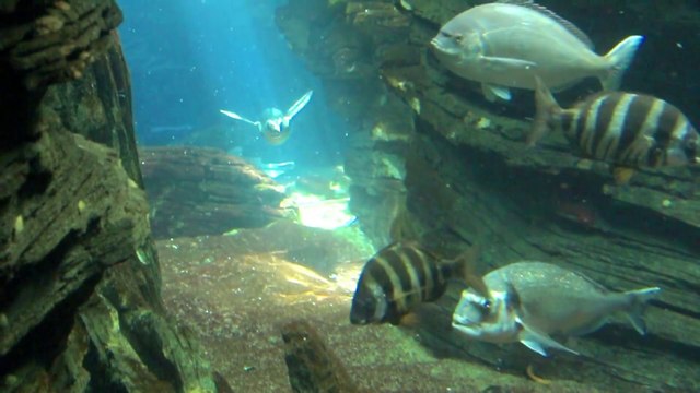 10 Facts you don't know, Most Interesting Scientific Facts