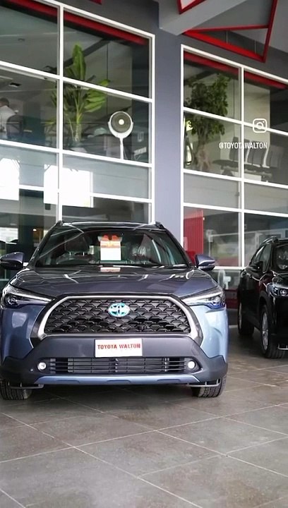 The Voice of World community