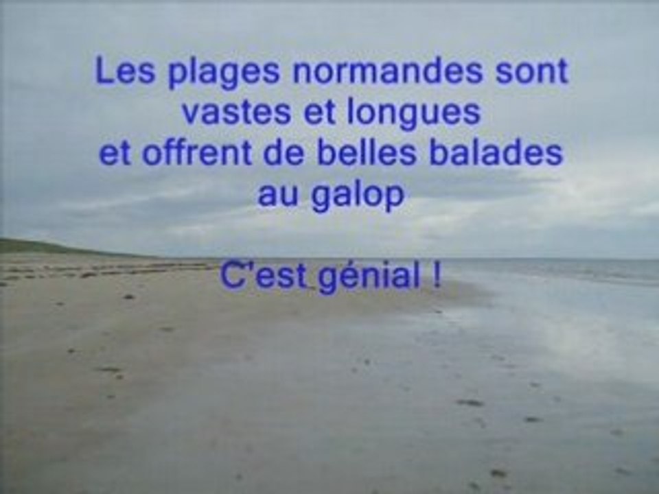 Balade à cheval au bord de la Manche