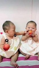 Funny&Comedy Intertainment