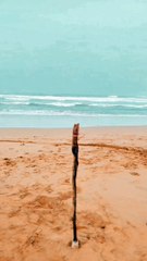 Personality Insights for 2024