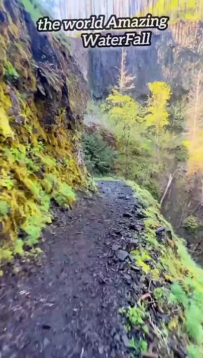Amazing Water Fall