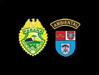 Veículo furtado em São Paulo é recuperado pela Rotam em Alto Paraíso