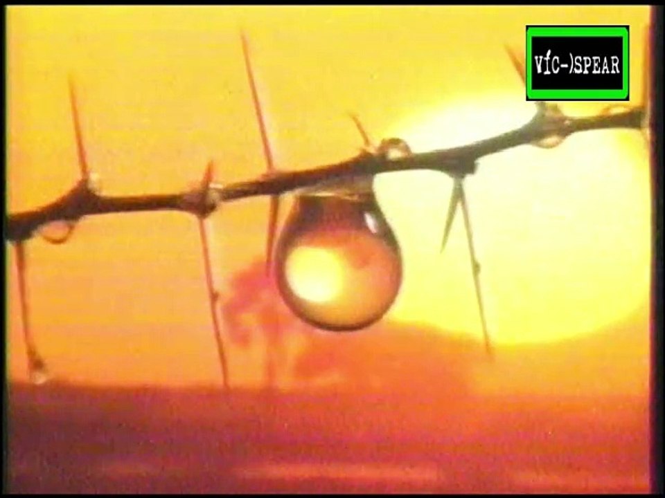 Okavango - Joya del Kalahari: En busca de la Joya - Documental (1987) - Español Latino