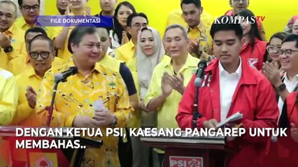 Bahas Pilkada Jakarta, Zita Anjani  PAN Jadwalkan Bertemu Dengan Kaesang