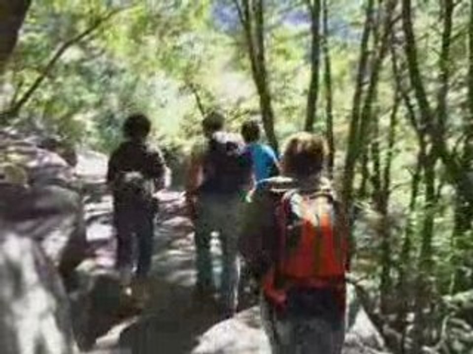 YOSEMITE funny