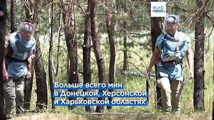 Украинские сапёры: на разминирование страны уйдет больше десятилетия