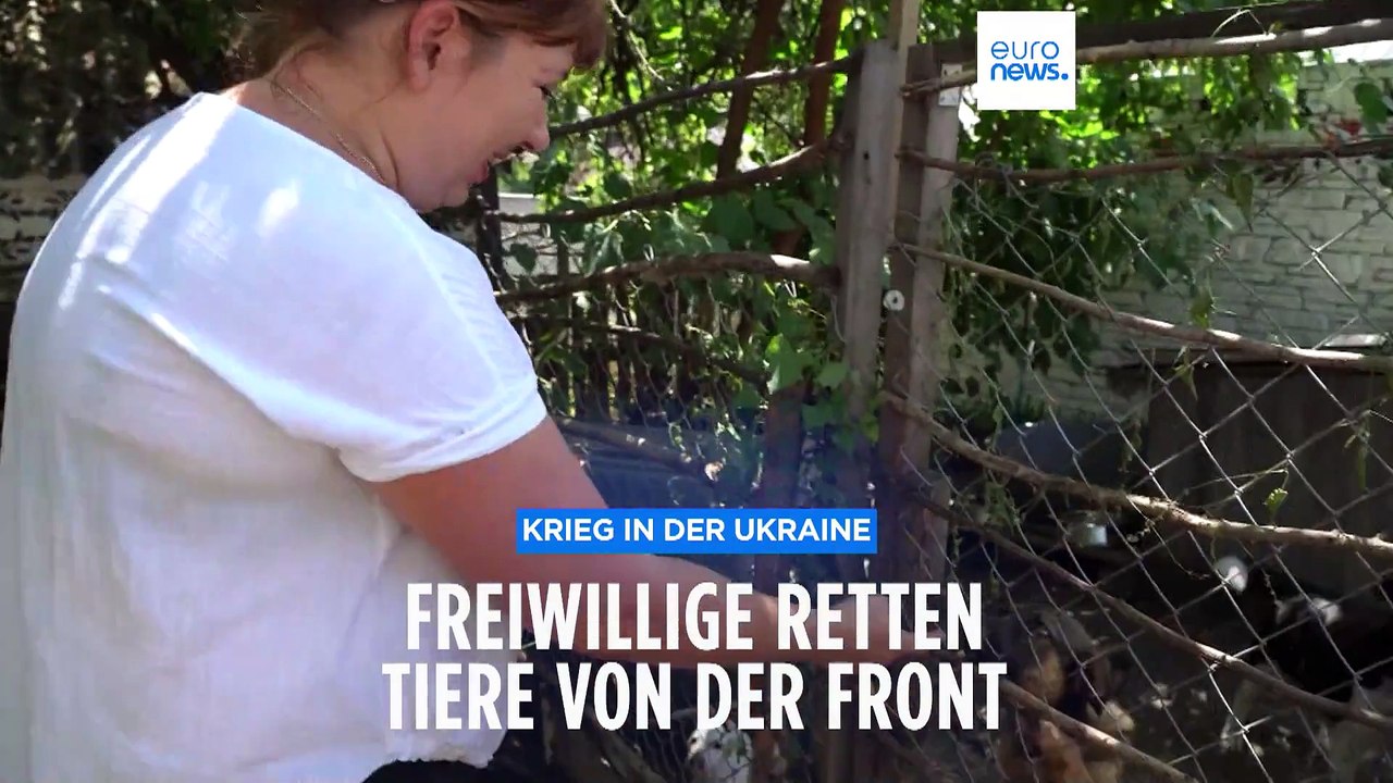 Gefährliche Missionen: Freiwillige retten ukrainische Haustiere von der Front