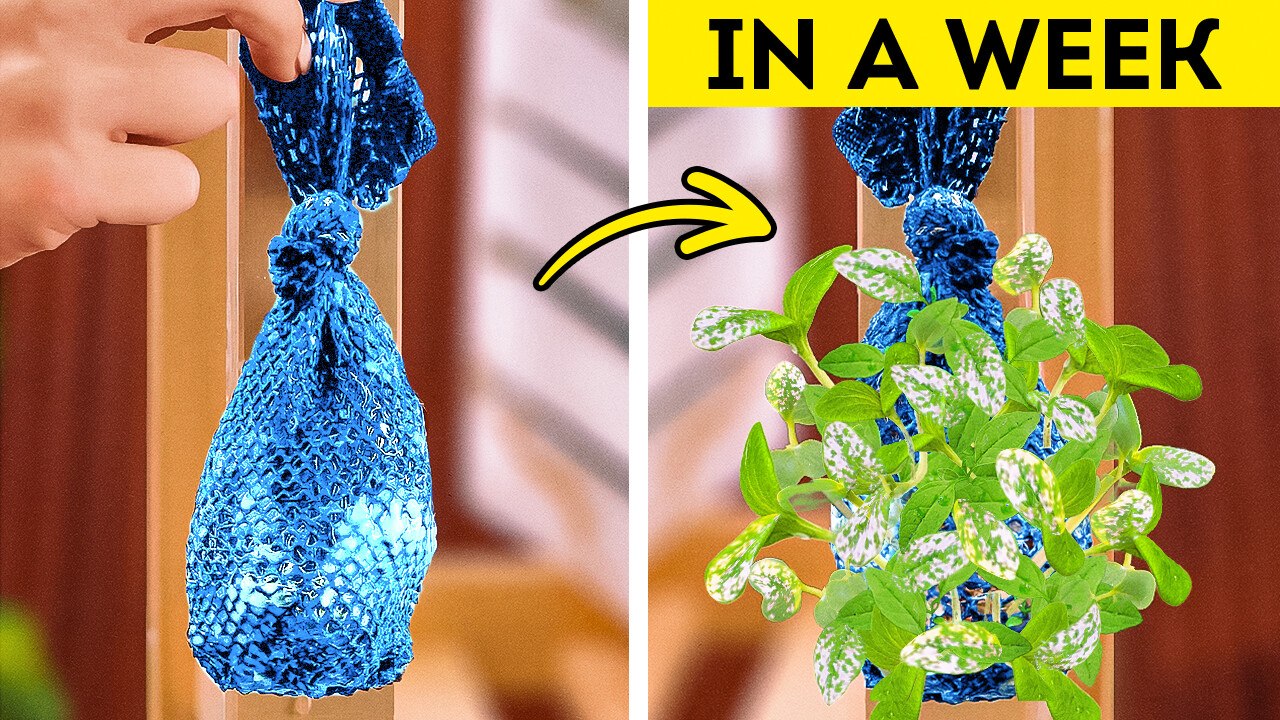 Gardening Hacks: 101 Useful Tips for Beginners 