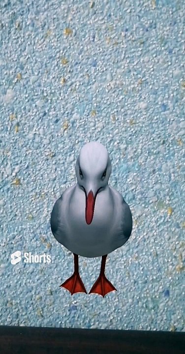 Khawab me bagla dekhne ki tabeer