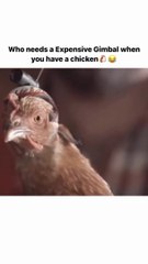 There's no need of gimbal stabilizer, when you have hen.
