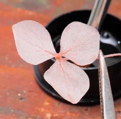 From bloom to bling! Crafting jewelry with natural plant fibers!