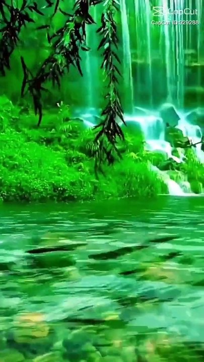 RELAXING Sleep Music +Insomnia  Stress