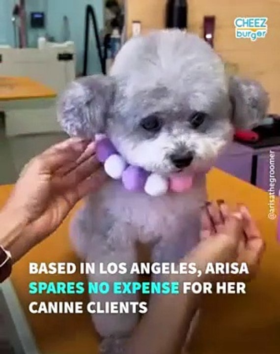 Glamorous Doggy Makeovers Using Japanese Style Dog Grooming