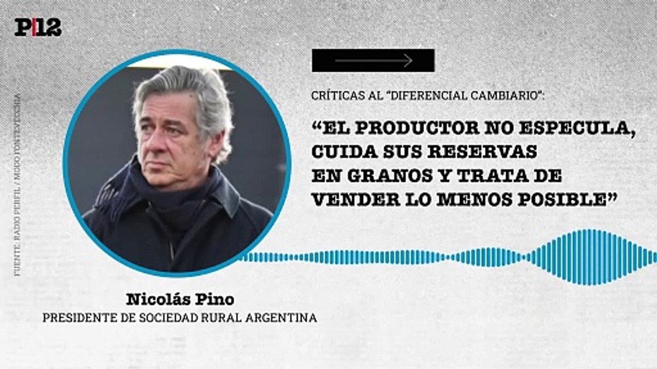 Pino, de la SRA, criticó el diferencial cambiario: "“El productor no especula, cuida sus reservas  en granos y trata de vender lo menos posible”