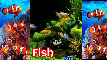 Abc kids learning/AtoZ kids learning