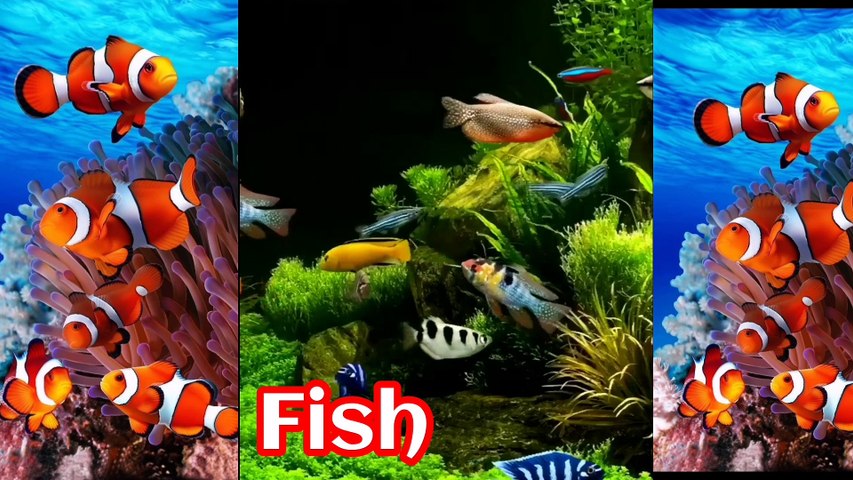 Abc kids learning/AtoZ kids learning