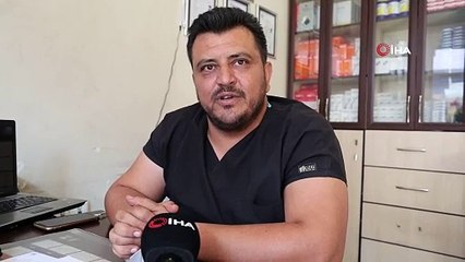 Dünyanın en yaşlı ve en minik memelisi Türkiye'de bulundu