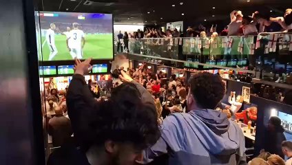 Download Video: Jubilation greets England equaliser at Sheffield bar