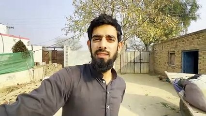 Dailymotion ktne views pr earning dta h