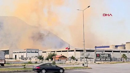 Aydın'da kağıt fabrikasındaki yangın 4'üncü gününde