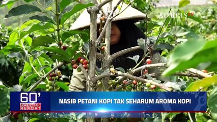 Masa Depan Industri Kopi Indonesia Terancam Perubahan Iklim Dunia