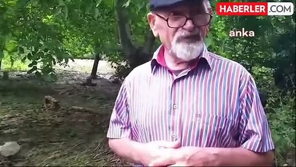 Artvin'de aşırı yağışlar tarım arazilerine ve köy yollarına zarar verdi