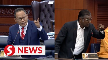 Pendang MP suspended three days over statement against Rayer