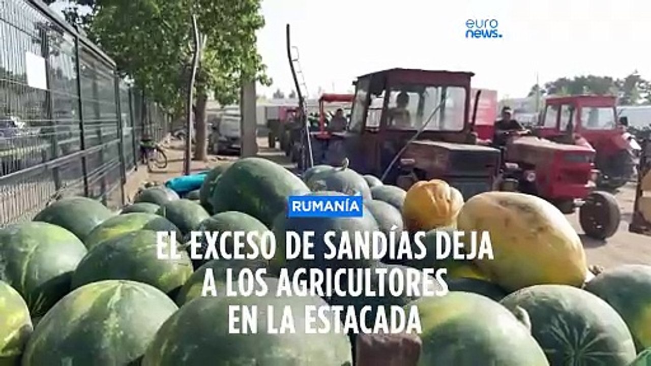 El exceso de sandías deja a los agricultores rumanos en la estacada