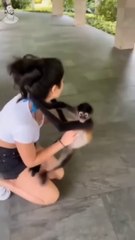 funny animal encounter  _funny _failmemes _shortfeed(720P_HD)