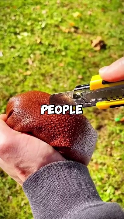 Interesting FACTS