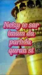 Naizy te sar imam da..