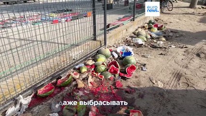 Арбузы в Румынии: переизбыток и трудности для фермеров 🍉