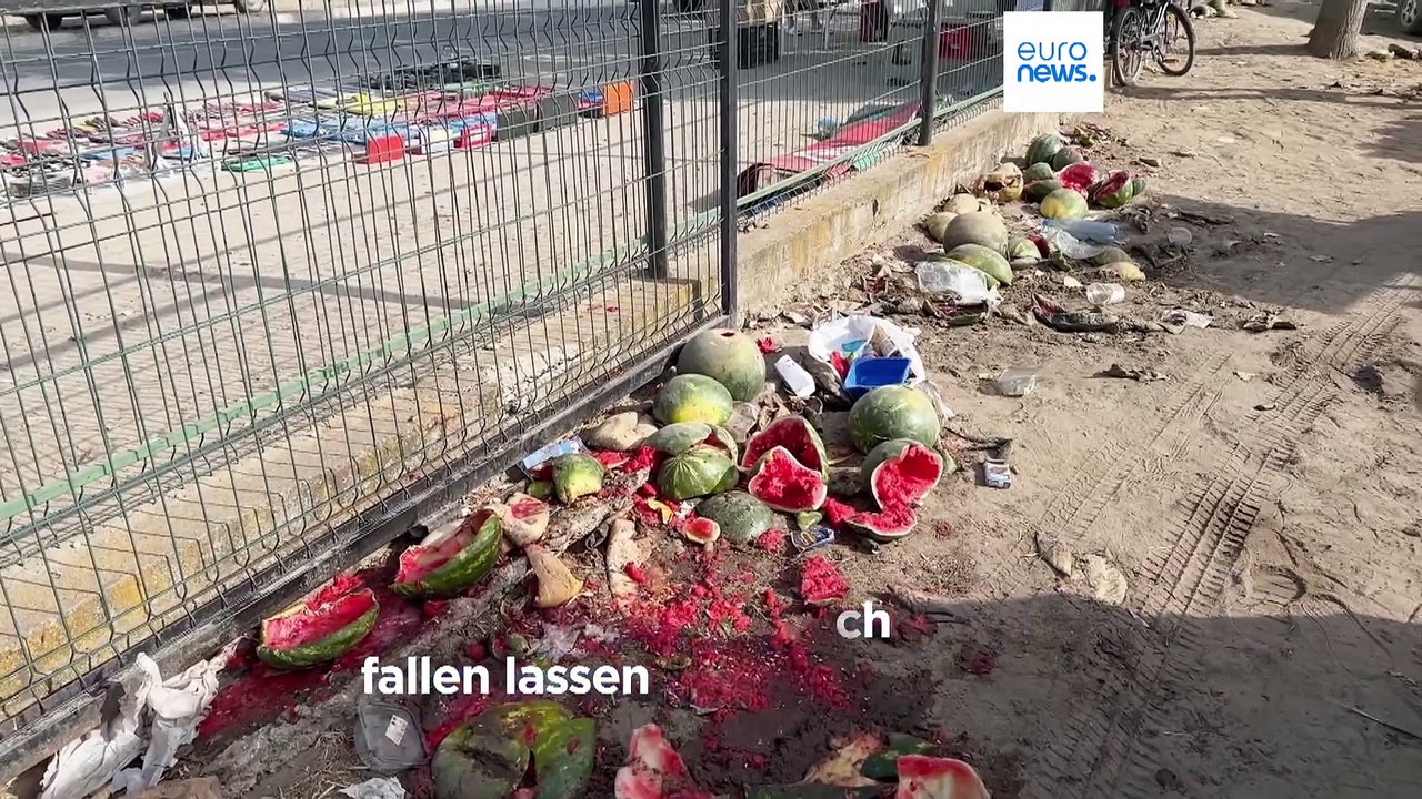Preisschock für Melonenbauern in Rumänien: Überangebot lässt Früchte verfaulen