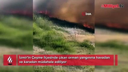 Çeşme'deki orman yangın! Ekipler sevk edildi