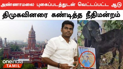 Descargar video: Annamalai Photo-வுடன் வெட்டப்பட்ட ஆடு | கண்டித்த நீதிமன்றம் | BJP | Oneindia Tamil