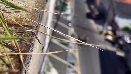 Suspeito atingido em tiroteio na Boca do Rio foi deixado para trás por comparsas