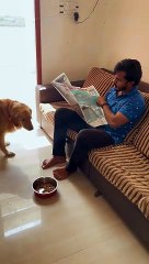 How long does goat milk last for dogs?